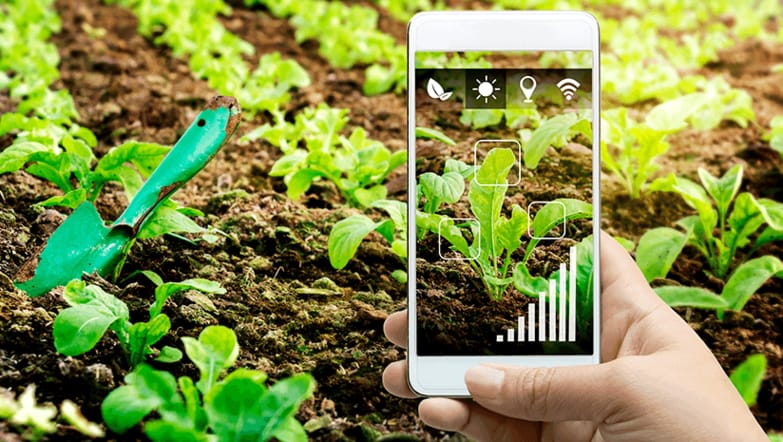 What Is Image Annotation and How Is It Used To Build AI Models?